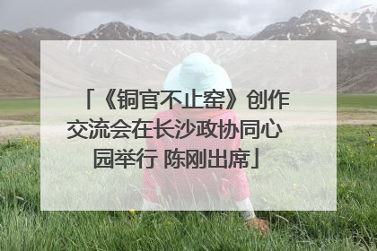 《铜官不止窑》创作交流会在长沙政协同心园举行 陈刚出席