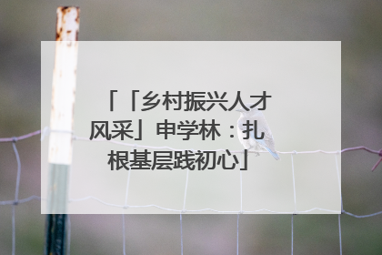 「乡村振兴人才风采」申学林：扎根基层践初心
