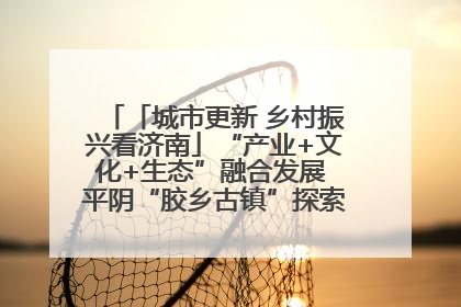 「城市更新 乡村振兴看济南」“产业+文化+生态”融合发展 平阴“胶乡古镇”探索振兴路径成效显著