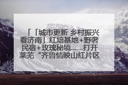 「城市更新 乡村振兴看济南」红培基地+野奢民宿+玫瑰秘境……打开莱芜“齐鲁情映山红片区”的破圈秘籍