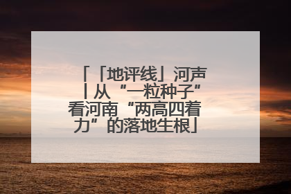 「地评线」河声丨从“一粒种子”看河南“两高四着力”的落地生根