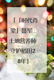 「时代脊梁」聂军：土地营养师守护稻田28年