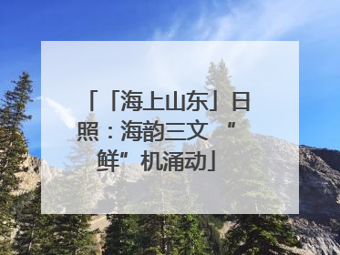 「海上山东」日照：海韵三文 “鲜”机涌动
