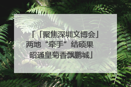 「聚焦深圳文博会」两地“牵手”结硕果 昭通皇菊香飘鹏城