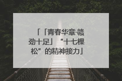 「青春华章·赣劲十足」“十七棵松”的精神接力