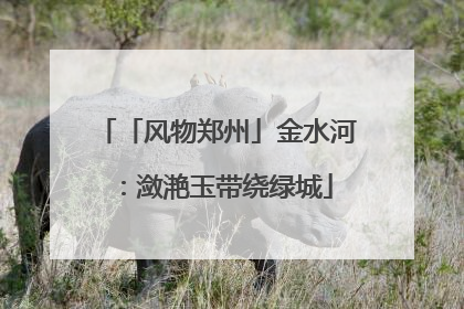 「风物郑州」金水河：潋滟玉带绕绿城