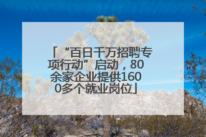 “百日千万招聘专项行动”启动，80余家企业提供1600多个就业岗位