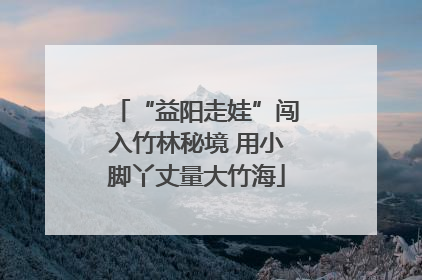 “益阳走娃”闯入竹林秘境 用小脚丫丈量大竹海