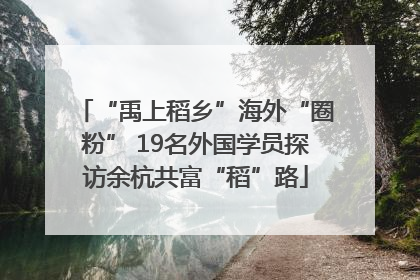 “禹上稻乡”海外“圈粉” 19名外国学员探访余杭共富“稻”路
