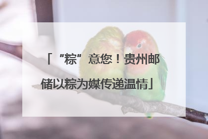 “粽”意您！贵州邮储以粽为媒传递温情
