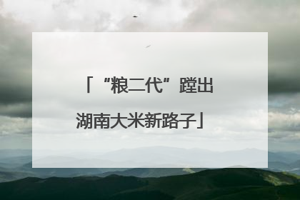 “粮二代”蹚出湖南大米新路子