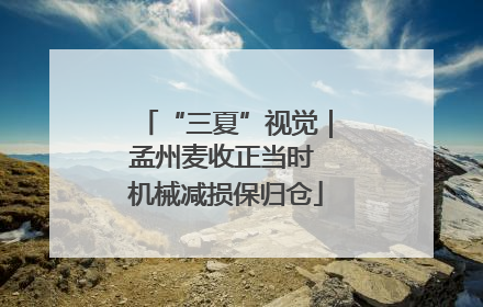 “三夏”视觉｜孟州麦收正当时 机械减损保归仓
