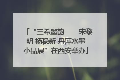 “三希墨韵——宋黎明 杨稳新 丹萍水墨小品展”在西安举办