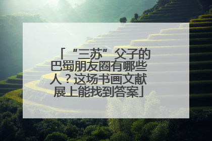 “三苏”父子的巴蜀朋友圈有哪些人？这场书画文献展上能找到答案
