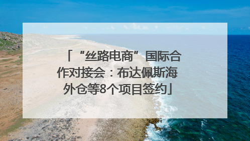 “丝路电商”国际合作对接会：布达佩斯海外仓等8个项目签约
