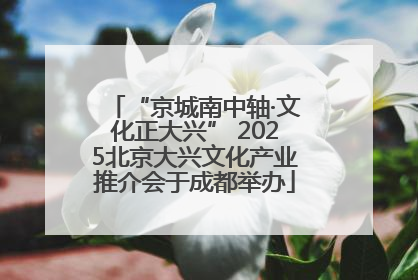 “京城南中轴·文化正大兴” 2025北京大兴文化产业推介会于成都举办