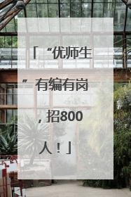 “优师生”有编有岗，招800人！