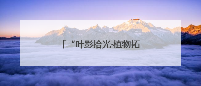 “叶影拾光·植物拓染”手作体验活动