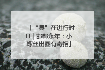 “县”在进行时⑬｜邯郸永年：小螺丝出圈有奇招