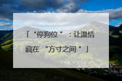 “停狗位 ”：让温情藏在 “方寸之间 ”