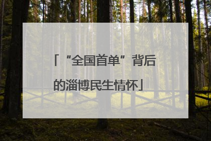 “全国首单”背后的淄博民生情怀
