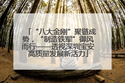 “八大金刚”聚链成势，“制造铁军”御风而行——透视深圳宝安高质量发展新活力