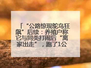 “公路惊现鸵鸟狂飙”后续：养殖户称它与同类打闹后“离家出走”，跑了1公里被找回