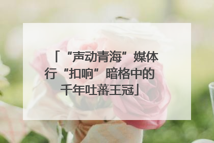 “声动青海”媒体行“扣响”暗格中的千年吐蕃王冠
