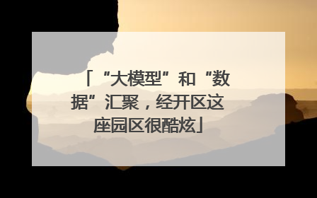 “大模型”和“数据”汇聚，经开区这座园区很酷炫