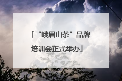 “峨眉山茶”品牌培训会正式举办