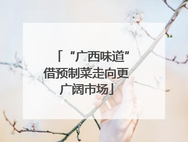 “广西味道”借预制菜走向更广阔市场