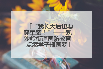 “我长大后也要穿军装！”——观沙岭街道国防教育点燃学子报国梦