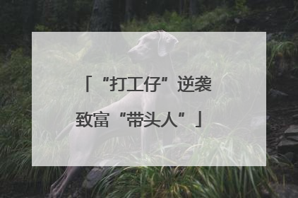 “打工仔”逆袭致富“带头人”