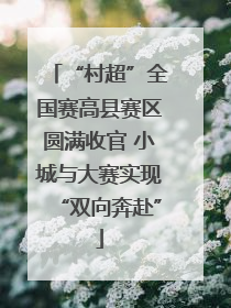“村超”全国赛高县赛区圆满收官 小城与大赛实现“双向奔赴”