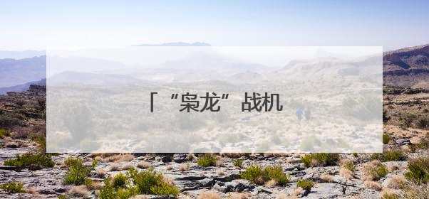 “枭龙”战机最新型号曝光