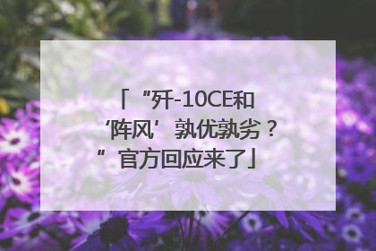 “歼-10CE和‘阵风’孰优孰劣？”官方回应来了