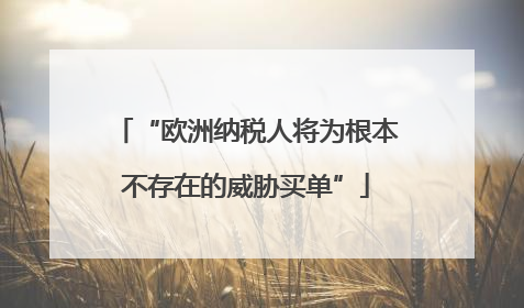 “欧洲纳税人将为根本不存在的威胁买单”