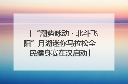 “潮势咏动・北斗飞阳”月湖迷你马拉松全民健身赛在汉启动