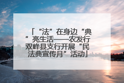 “法”在身边“典”亮生活——农发行双峰县支行开展“民法典宣传月”活动