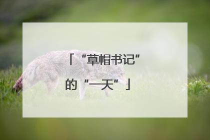 “草帽书记”的“一天”
