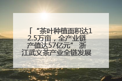 “茶叶种植面积达12.5万亩，全产业链产值达57亿元” 浙江武义茶产业全链发展“加速度”