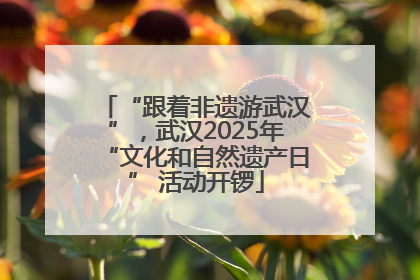 “跟着非遗游武汉”，武汉2025年“文化和自然遗产日” 活动开锣