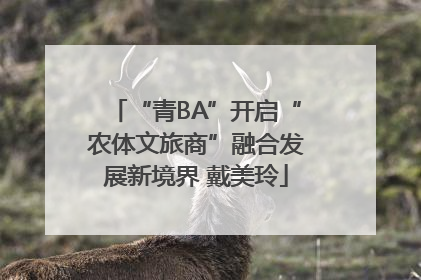 “青BA”开启“农体文旅商”融合发展新境界 戴美玲