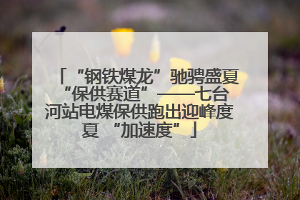 “钢铁煤龙”驰骋盛夏 “保供赛道”——七台河站电煤保供跑出迎峰度夏 “加速度”