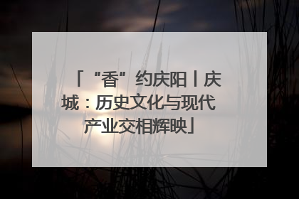 “香”约庆阳丨庆城：历史文化与现代产业交相辉映