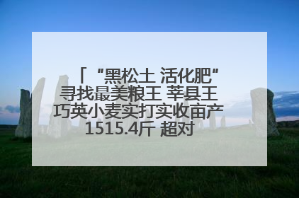“黑松土 活化肥”寻找最美粮王 莘县王巧英小麦实打实收亩产1515.4斤 超对照田144斤！