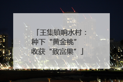 王集镇响水村：种下“黄金桃” 收获“致富果”