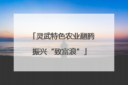 灵武特色农业翻腾振兴“致富浪”