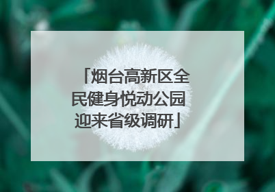 烟台高新区全民健身悦动公园迎来省级调研