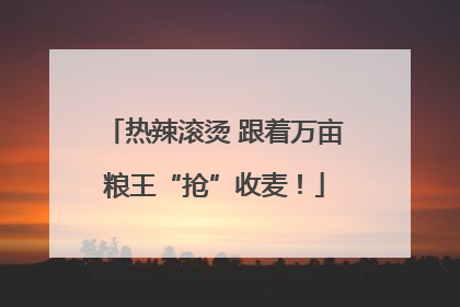 热辣滚烫 跟着万亩粮王“抢”收麦！